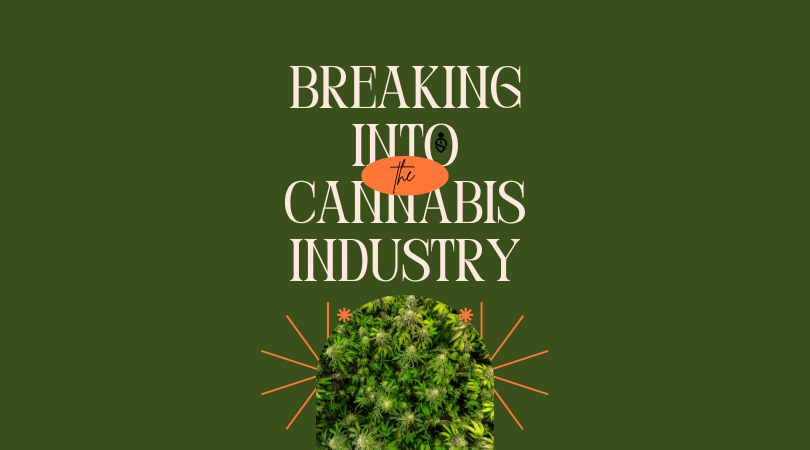 Breaking Into The Cannabis Industry